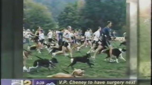 Hounds and Harriers Run sponsor David Contract Milk Bone brand on the Pet Stop смотреть онлайн