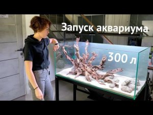 Запуск БОЛЬШОГО Аквариума 300 л/ Светильник Chihiros RGB Vivid 2 / 1 часть