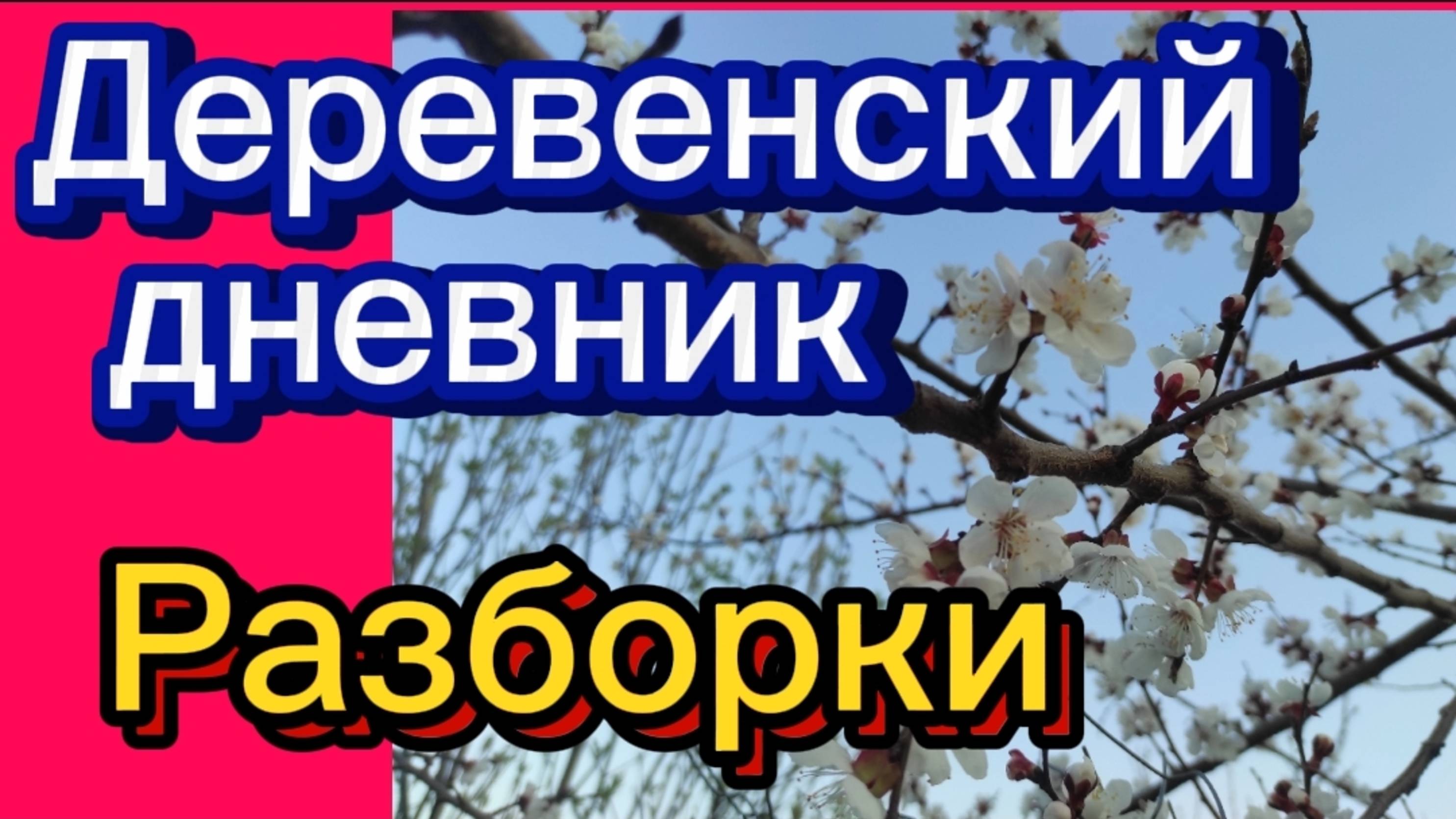 ДЕРЕВЕНСКИЙ ДНЕВНИК. "РАЗБОРКИ" смотреть онлайн