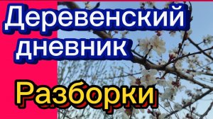 ДЕРЕВЕНСКИЙ ДНЕВНИК. «РАЗБОРКИ»