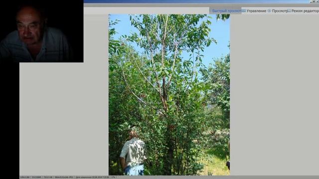 42 ч 4 о результатах 30 летней работы смотреть онлайн