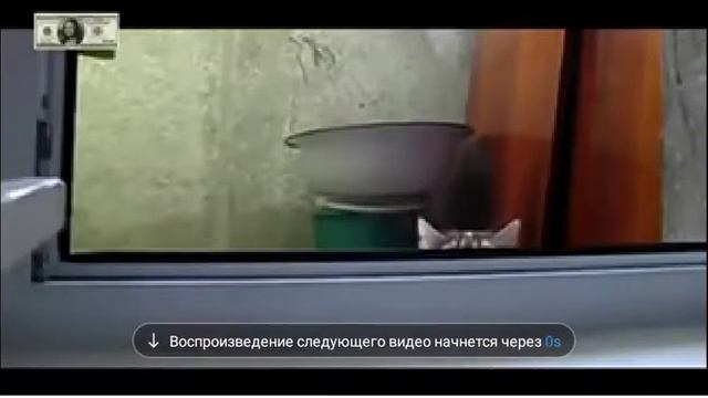 видио из тик ток часть 5 последняя смотреть онлайн