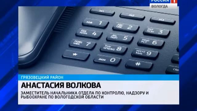 В регионе выясняют причину гибели рыбы в Комёле и Лухте смотреть онлайн