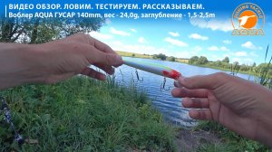 Средне-глубинный воблер AQUA Гусар. Видео обзор