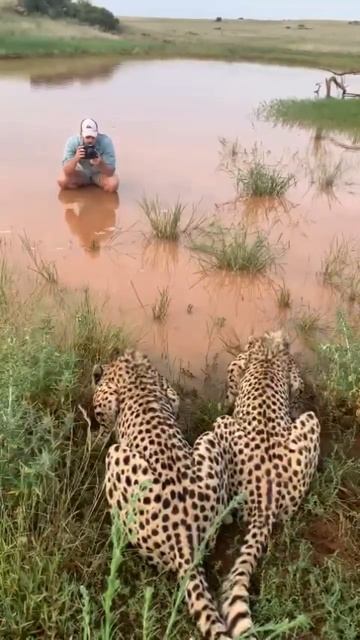 Wildlife photographer смотреть онлайн