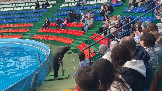 Адлер 16 апреля 2025