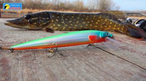 Воблер для рыбалки AQUA Гусар