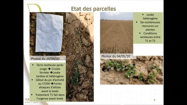 Gestion des altises du lin fibre en 2020 – Visite virtuelle des essais - ARVALIS-infos.fr смотреть онлайн