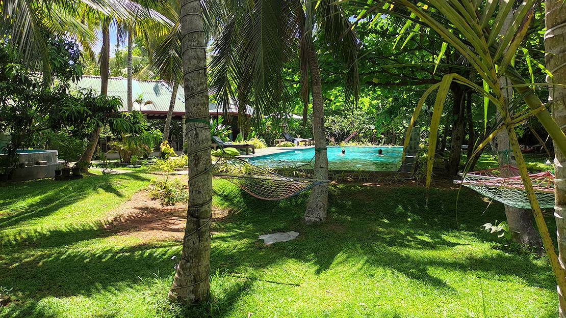 ШРИ-ЛАНКА ЖИВНОСТЬ VILLA BOUNTY смотреть онлайн