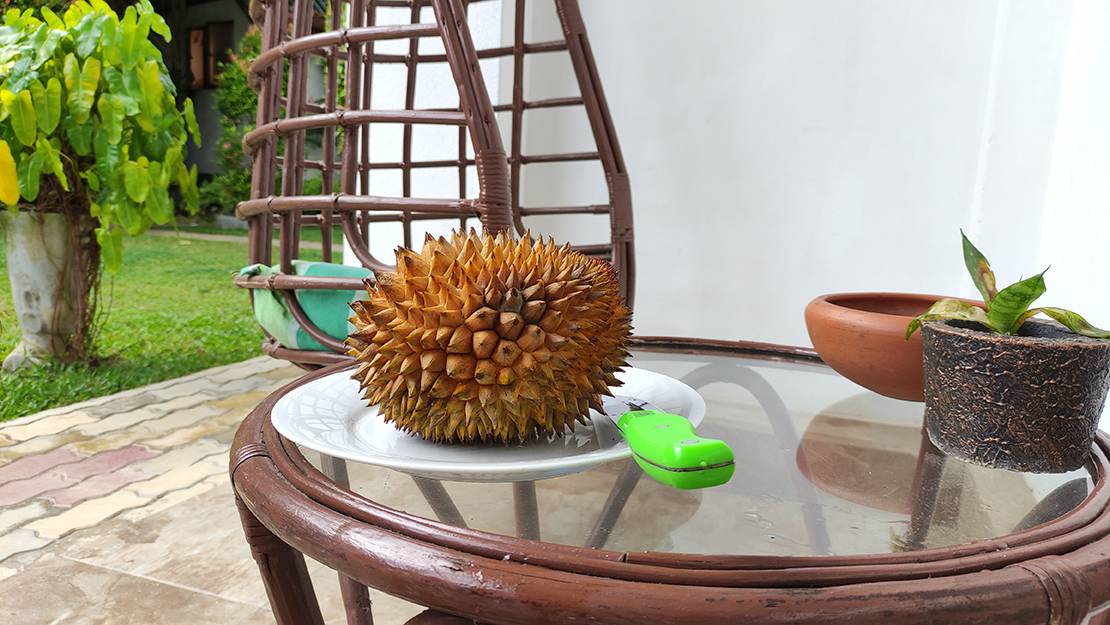 ШРИ-ЛАНКА ПРОБУЕМ ДУРИАН смотреть онлайн