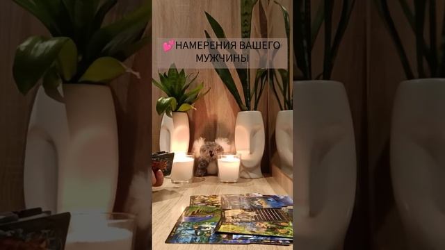 💕НАМЕРЕНИЯ ВАШЕГО ПАРТНЁРА💕   #таро  #тарогадание  #тарорасклад #галинатаро