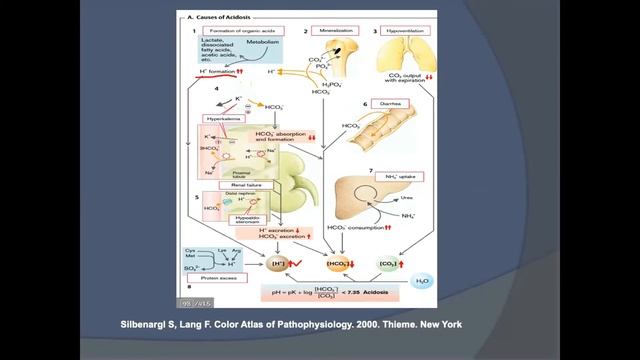 Apa Faktor yang Mempengaruhi Asam Basa Plasma? Catatan Apoteker смотреть онлайн