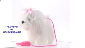 Интерактивная музыкальная игрушка Мой Питомец щенок Бьянка 202104