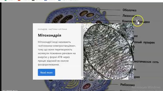Інтерактивне забраження у ThingLink смотреть онлайн