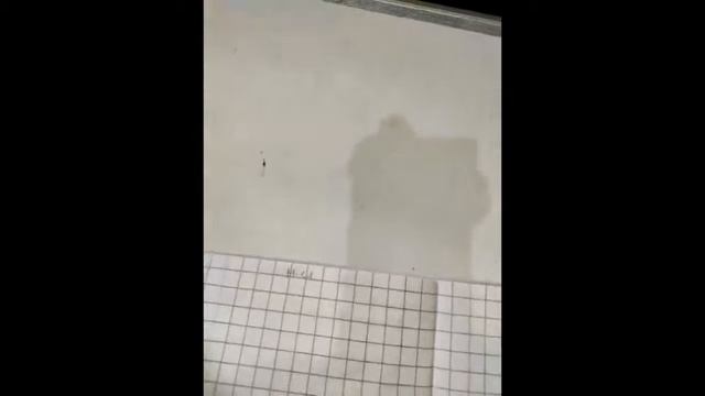 7.09.21 maths all branchesTop:- umber names of 31 to 40 in n.b.with activity смотреть онлайн