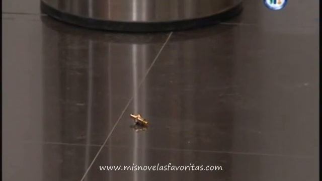 Pasión Morena Capitulo 142 (4)