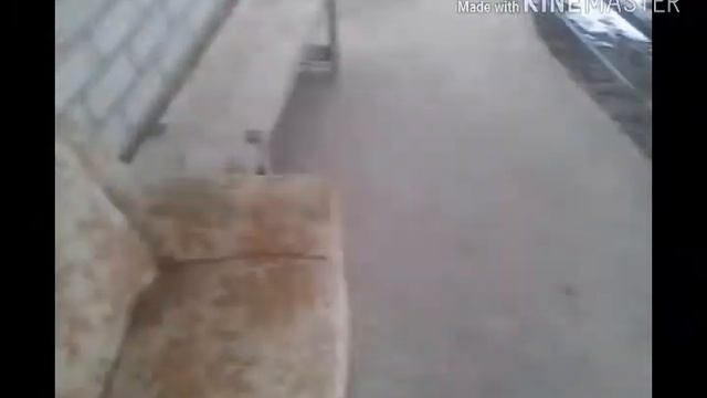 Меня похитили! ТБИ - 2 серия смотреть онлайн