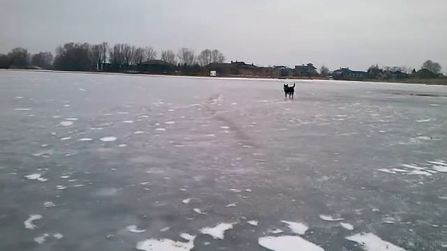 Хрен кто рыбу отберёт смотреть онлайн