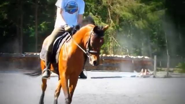 Calypso: 10/7/12 смотреть онлайн