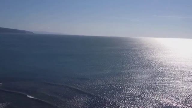 Дельфины на Прохоровском пляже #2021 #дельфины #архипоосиповка #архипка #море #гора #высота #2021 смотреть онлайн