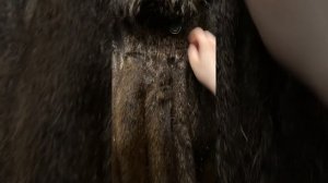 Шуба из меха нутрии б/у