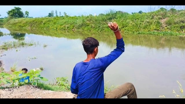 Anaconda snake 3 in real life HD video смотреть онлайн