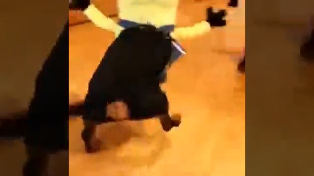 Прикольное видео Миньоны таксы, новинка миньоны 2015 смотреть онлайн