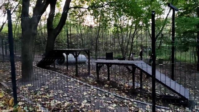 Харьков Сколько гуляет собачек 🐶 смотреть онлайн