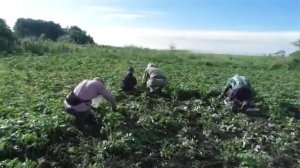 Каждому дана работа по силам.