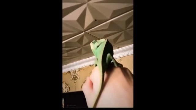 в место мухобойки смотреть онлайн
