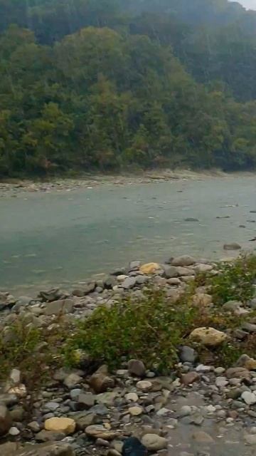 Тропический ливень☔ Река Псезуапсе Лазаревское Сочи, гуляли без зонта. Будто были под душем 20.10.2 смотреть онлайн