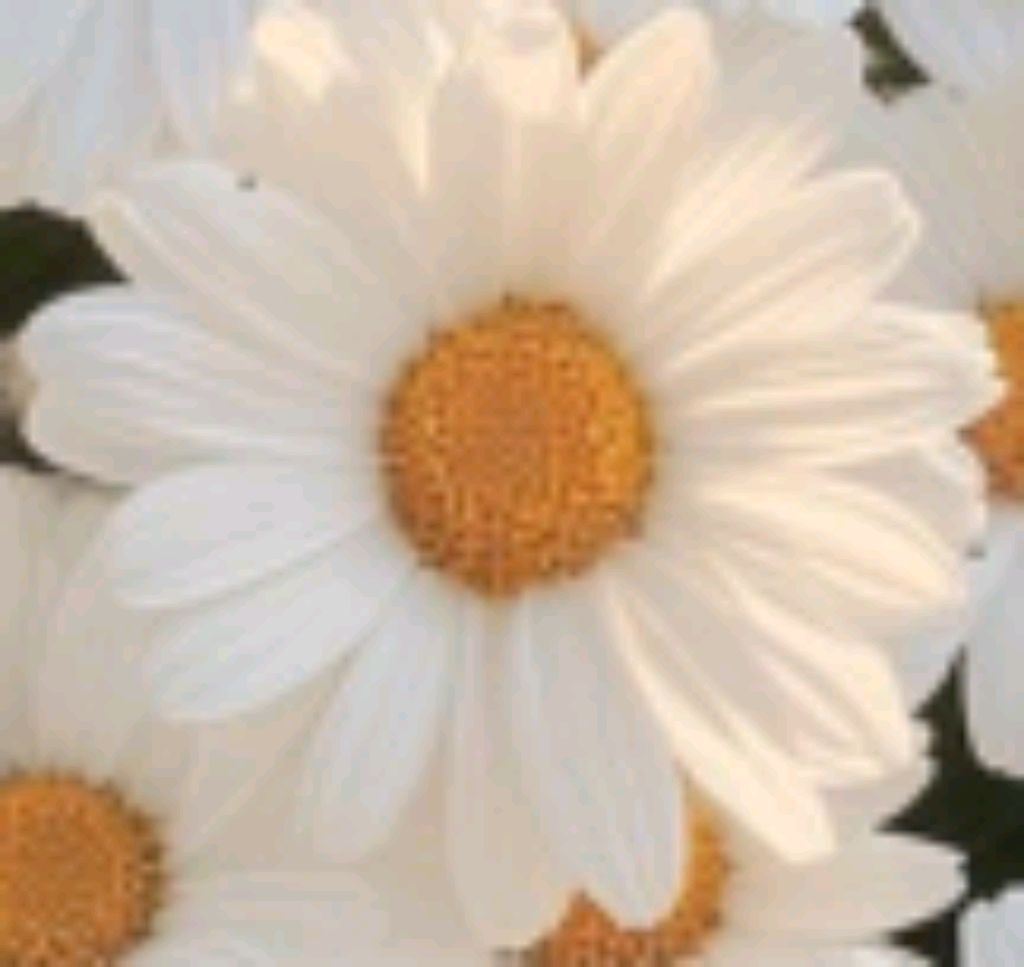 обзор на мой пенал