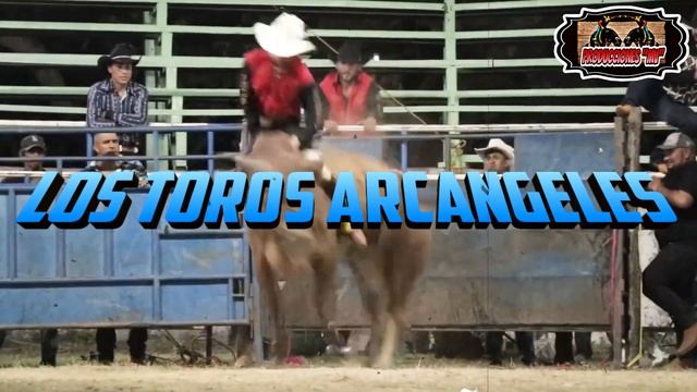 GRAN JARIPEO EN PLAZA VIEJA MUNICIPIO DE TEPEQUE MICHOACAN смотреть онлайн
