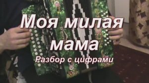 Моя, милая мама. (С. Михайлов) (059 гармонь с цифрами)
