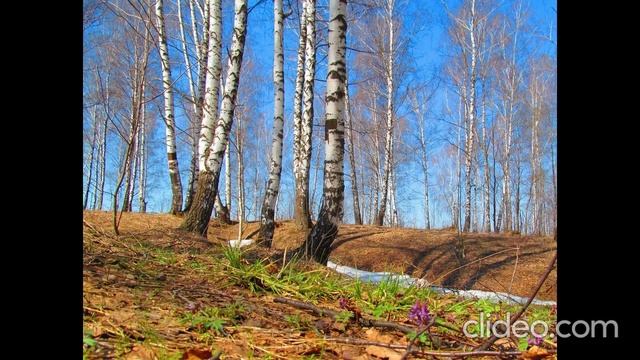 Песня "Апрель" смотреть онлайн
