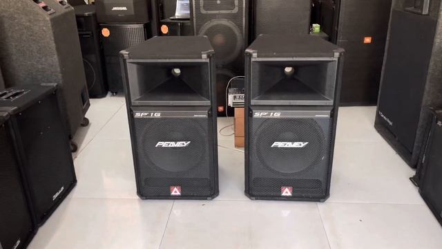 Cặp Loa Mỹ PEAVEY SP-1G bass 40 Từ 22 Coi 100 củ tép từ 22 Côn 100 смотреть онлайн