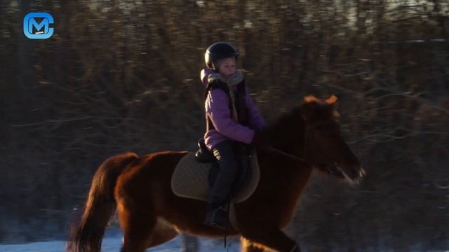 Лошадиная сила смотреть онлайн