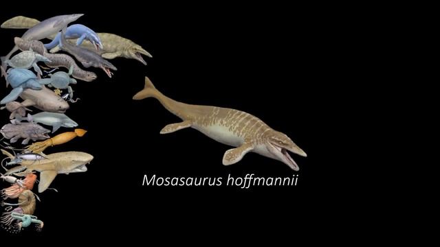 The Evolution of Life part 10 : Cretaceous смотреть онлайн