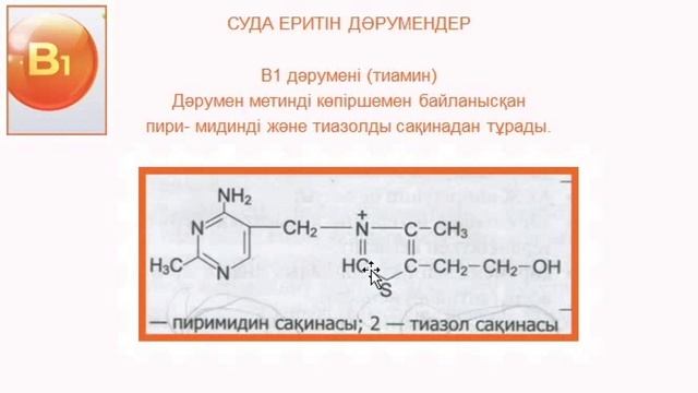 Витаминдер | Витаминдер биохимиясы | В1 витамині смотреть онлайн