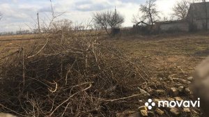 [Hatsan Striker 1000S] ОХОТА НА МЕЛКУЮ ПТИЦУ С ПНЕВМАТИКОЙ !!!