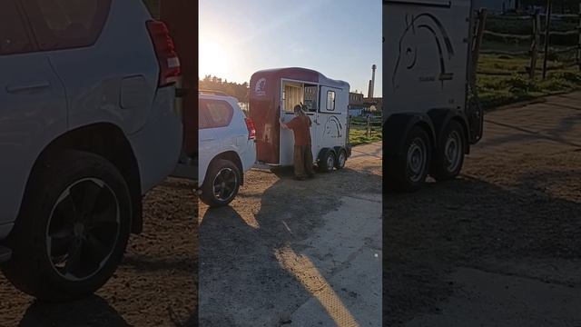 Лама приехал на ферму смотреть онлайн