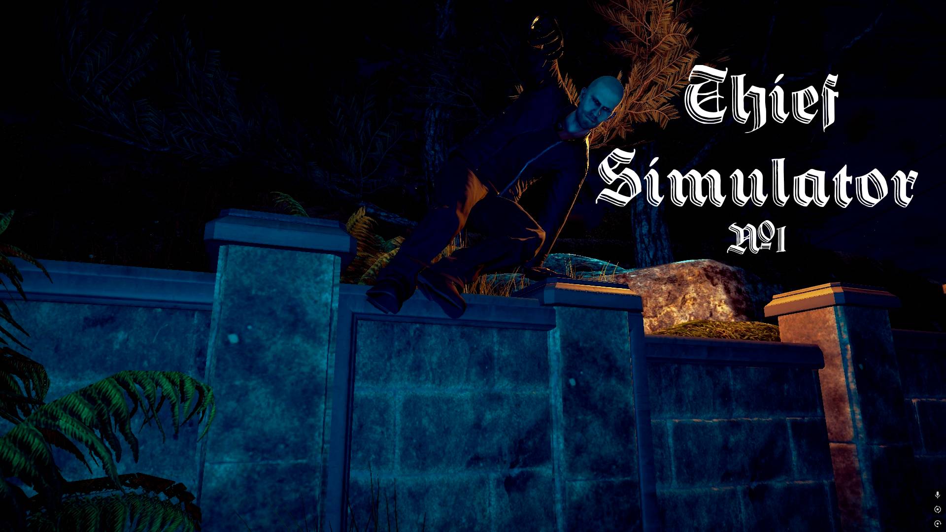 Ahulsh | Thief Simulator | 1