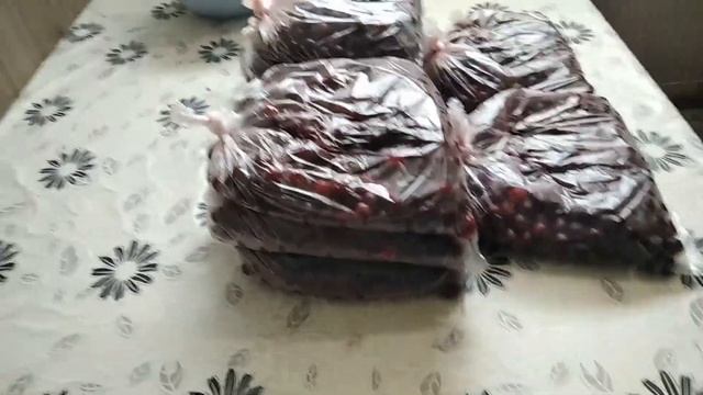 ВИШНЯ В ЗАМОРОЗКУ. КОМПОТ С ВИШНЕЙ. СЛОЙКИ С ВИШНЕЙ. смотреть онлайн