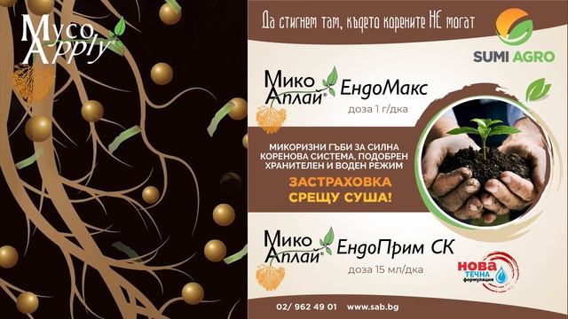 УАСАН, СОЛЕЙ, СУМИ АЛФА и МикоАплай – растителна защита и микоризни гъби смотреть онлайн