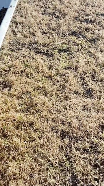 11 апреля сажаем саженцы. смотреть онлайн