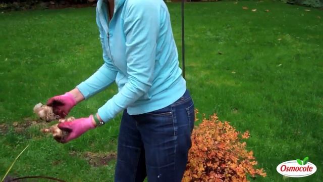 How To Plant A Bulb Lasagna смотреть онлайн