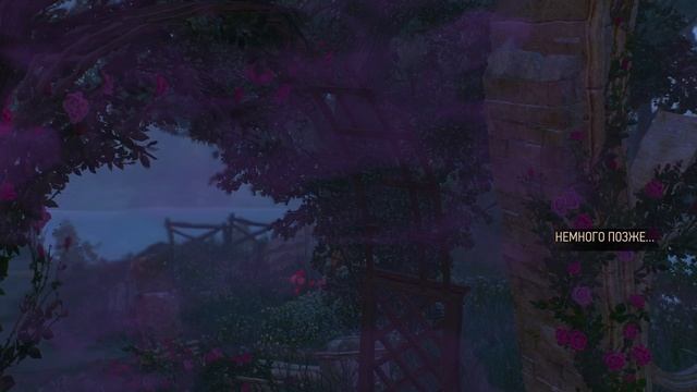 2025 the wither 3 #64