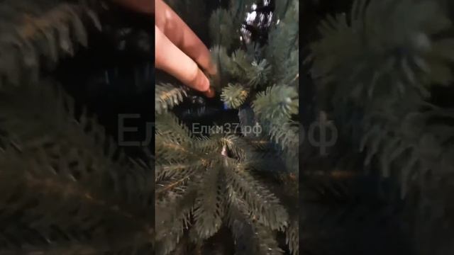 Ель GreenTrees Милано люкс смотреть онлайн