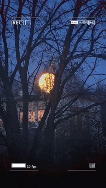 Там, где ночует луна 🌖 смотреть онлайн