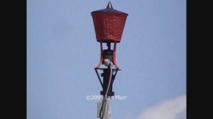 Decot 12hp 10/15 Siren Noon Test